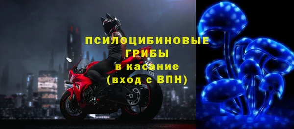 гашиш Бородино