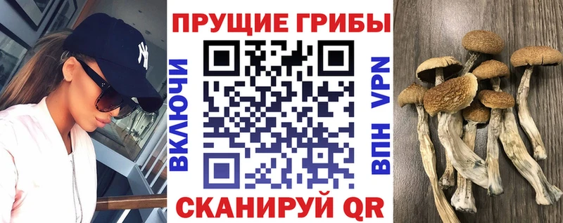 Галлюциногенные грибы мухоморы  купить наркотики сайты  мега зеркало  Весьегонск 